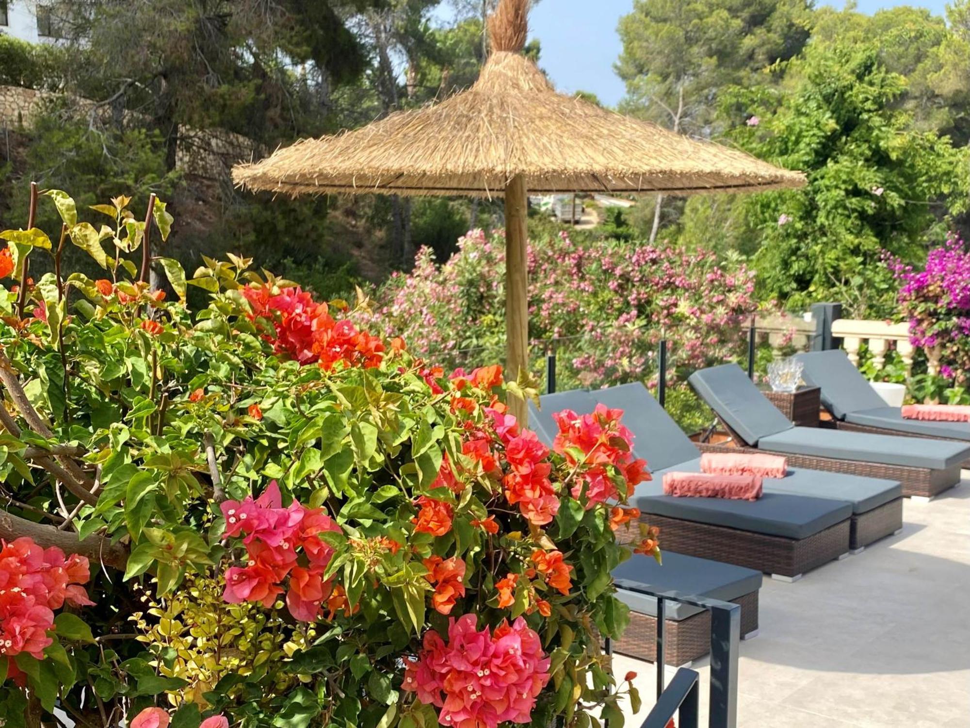 Palmera Jávea Extérieur photo
