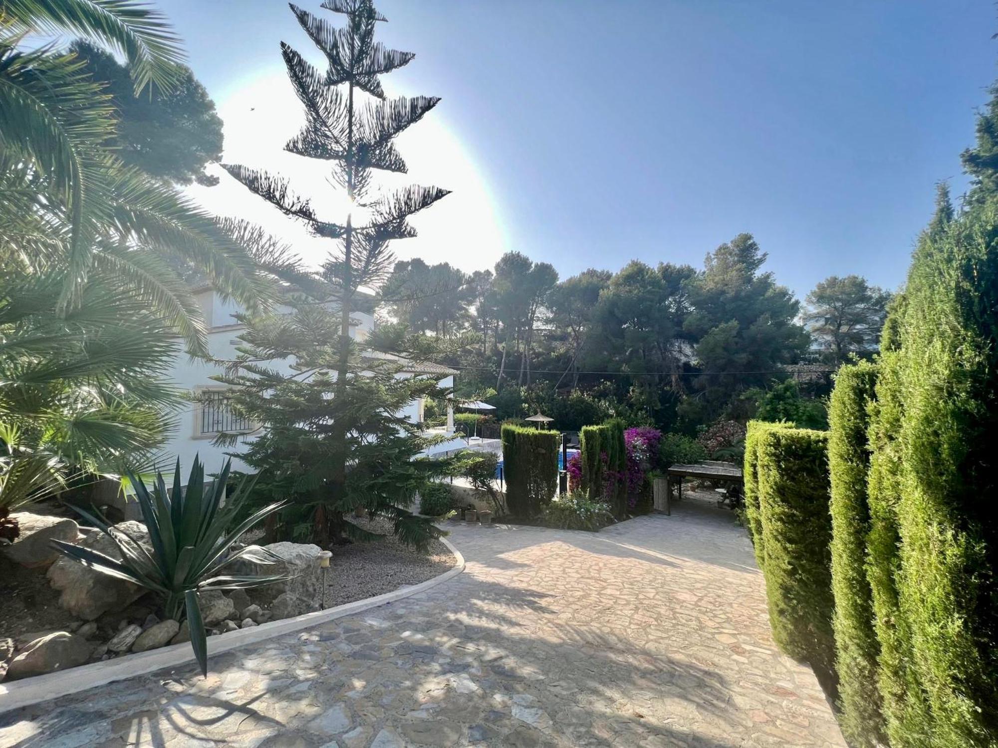 Palmera Jávea Extérieur photo